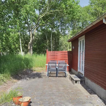 Pet Friendly In With Kitchen